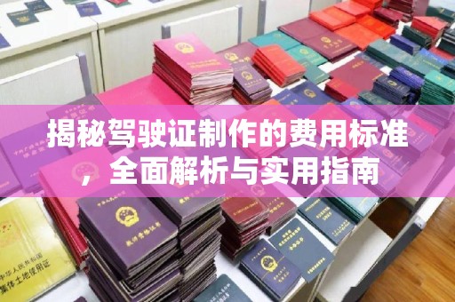 隆林揭秘驾驶证制作的费用标准，全面解析与实用指南