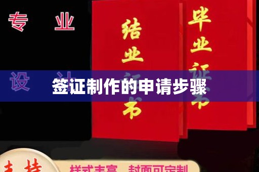 隆林签证制作的申请步骤