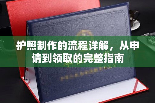 隆林护照制作的流程详解，从申请到领取的完整指南