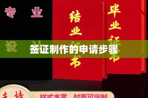 隆林签证制作的申请步骤