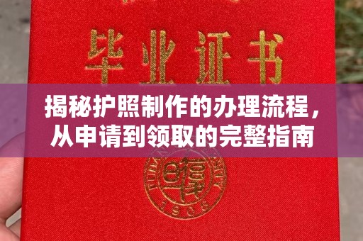 隆林揭秘护照制作的办理流程，从申请到领取的完整指南