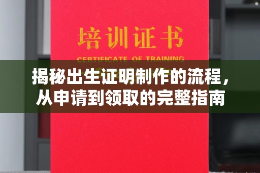 隆林揭秘出生证明制作的流程，从申请到领取的完整指南