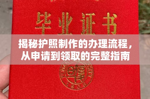 隆林揭秘护照制作的办理流程，从申请到领取的完整指南