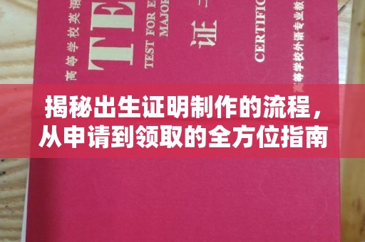 隆林揭秘出生证明制作的流程，从申请到领取的全方位指南