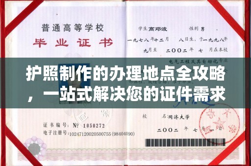 隆林护照制作的办理地点全攻略，一站式解决您的证件需求