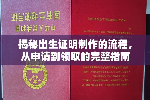隆林揭秘出生证明制作的流程，从申请到领取的完整指南