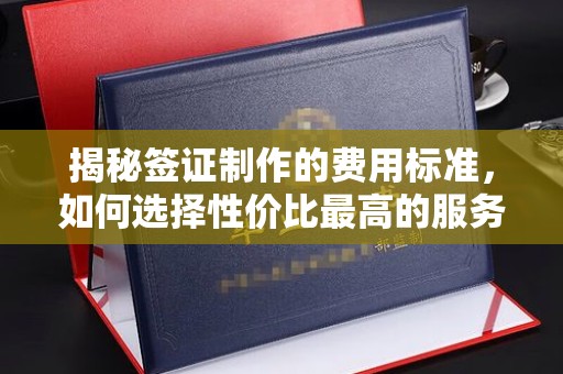 隆林揭秘签证制作的费用标准，如何选择性价比最高的服务？