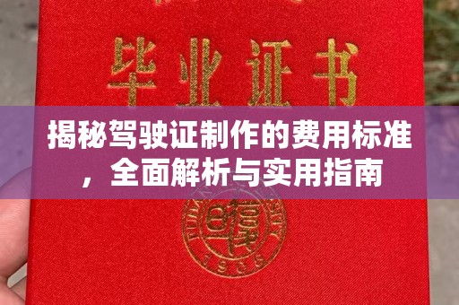 隆林揭秘驾驶证制作的费用标准，全面解析与实用指南