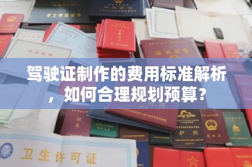 隆林驾驶证制作的费用标准解析，如何合理规划预算？