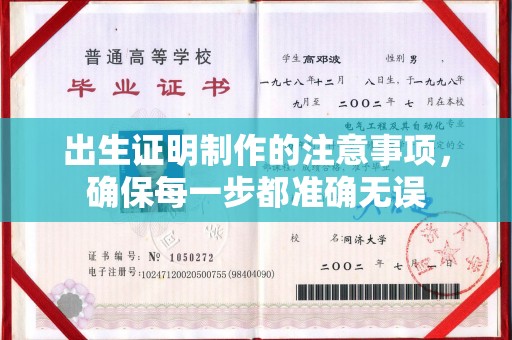 隆林出生证明制作的注意事项，确保每一步都准确无误
