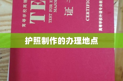隆林护照制作的办理地点