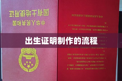 隆林出生证明制作的流程