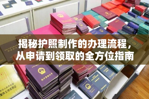 隆林揭秘护照制作的办理流程，从申请到领取的全方位指南