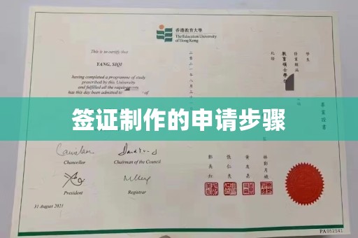 隆林签证制作的申请步骤