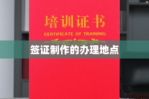 隆林签证制作的办理地点