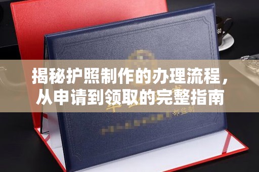隆林揭秘护照制作的办理流程，从申请到领取的完整指南