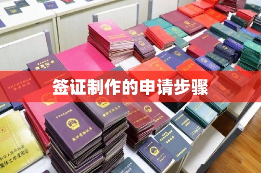 隆林签证制作的申请步骤