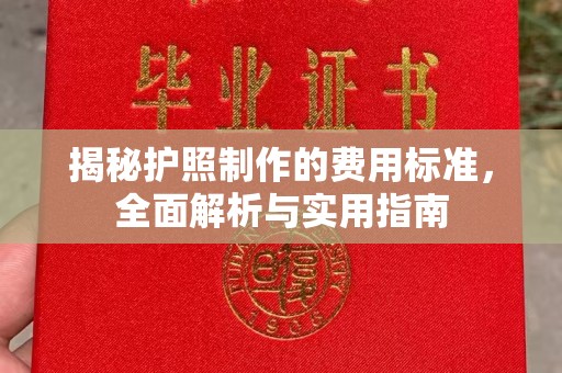 隆林揭秘护照制作的费用标准，全面解析与实用指南
