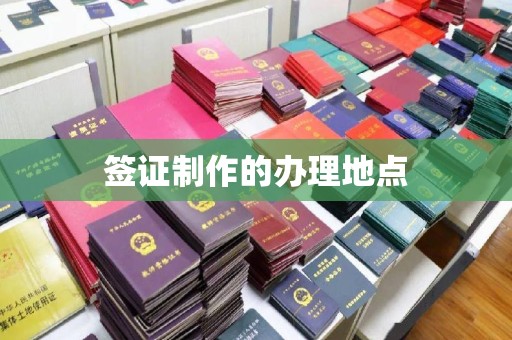 隆林签证制作的办理地点
