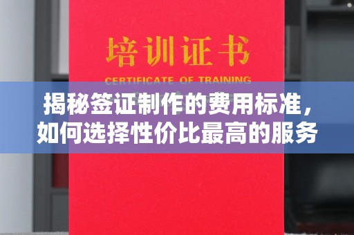 隆林揭秘签证制作的费用标准，如何选择性价比最高的服务？