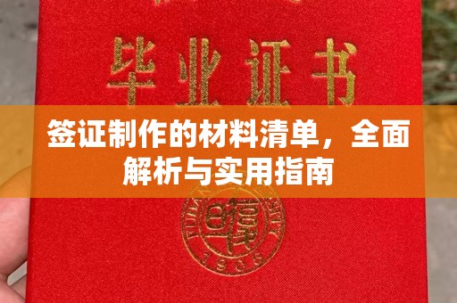 隆林签证制作的材料清单，全面解析与实用指南