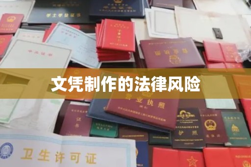 隆林文凭制作的法律风险