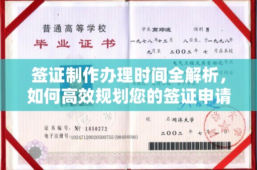 隆林签证制作办理时间全解析，如何高效规划您的签证申请流程