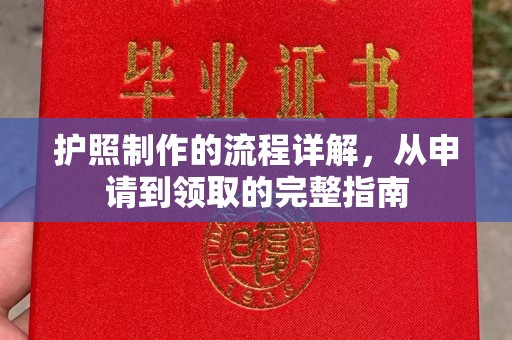 隆林护照制作的流程详解，从申请到领取的完整指南