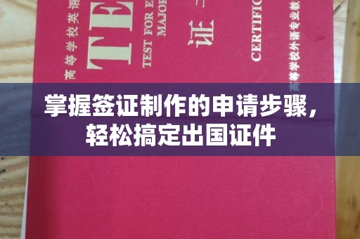 隆林掌握签证制作的申请步骤，轻松搞定出国证件